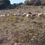 Casa Potenta Chalet Llimiana