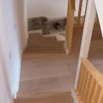 Casa Potenta *