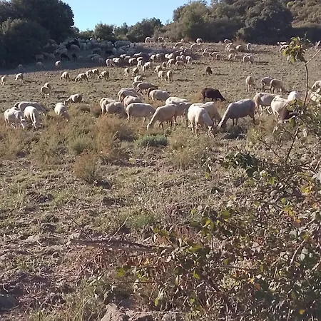 Casa Potenta 샬레 Llimiana
