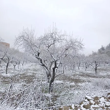 Casa Potenta * Llimiana